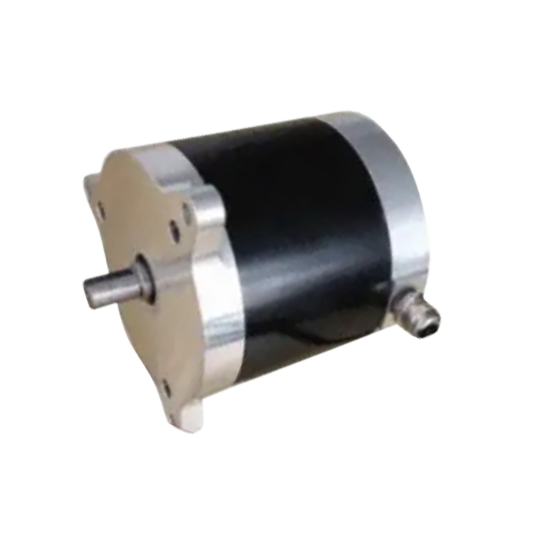 BL100 100mm 직경 24VDC 300W의 전동 지게차 모터